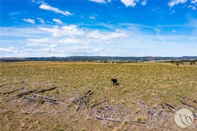 1,677+/-; acres of Montana opportunity. This rare property - photo 7