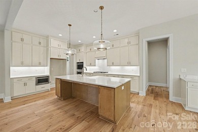Stunning brand-new home on a half-acre in Eastwind Cove - photo 17