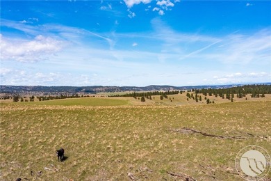 1,677+/-; acres of Montana opportunity. This rare property - photo 8