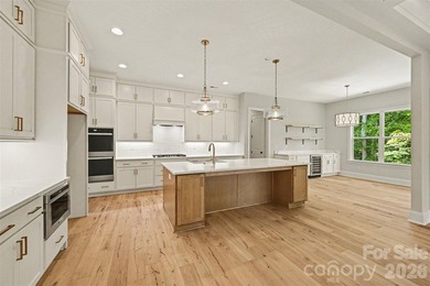Stunning brand-new home on a half-acre in Eastwind Cove - photo 18