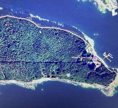 Waterfront lot on Killisnoo Island - 3.15 acres with 160' of - photo 1