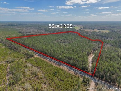 (private lake, pond, coastal) Home For Sale in St George Georgia