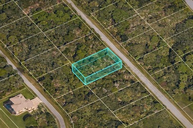 Port Charlotte Waterway Area Lot For Sale in Port Charlotte Florida