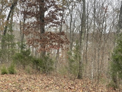 1 Acre Lake Cumberland Building Lot - photo 2