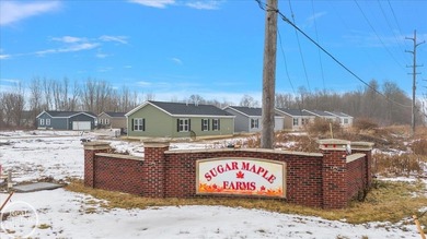 Fully developed site condominium in a great area with the - photo 17
