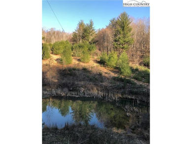 (private lake, pond, coastal) Acreage For Sale in Lansing North Carolina