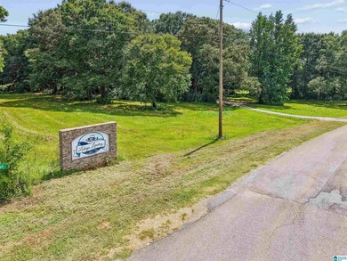 One of the last remaining lots available at Lokey Landing
