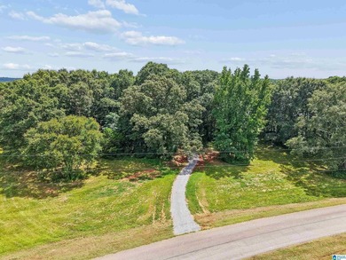 One of the last remaining lots available at Lokey Landing - photo 2