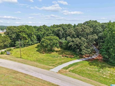 One of the last remaining lots available at Lokey Landing - photo 3
