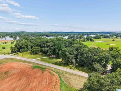 One of the last remaining lots available at Lokey Landing - photo 6