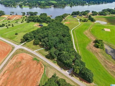 One of the last remaining lots available at Lokey Landing - photo 9