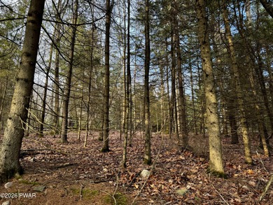 Delaware River - Pike County Acreage Sale Pending in Matamoras Pennsylvania