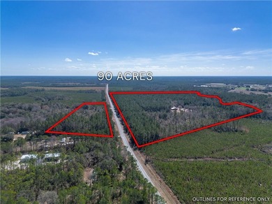 (private lake, pond, coastal) Home For Sale in St George Georgia