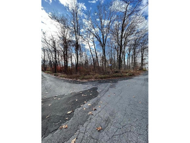 Lake Carmel Lot For Sale in Carmel New York
