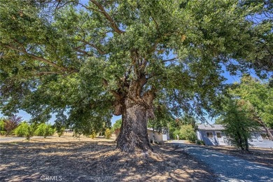 1980 Big Valley Rd - photo 30