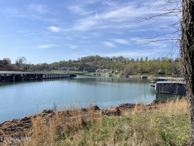 (private lake, pond, creek) Acreage For Sale in Lafollette Tennessee