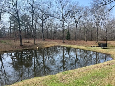 Discover your private sanctuary north of Natchez, perfectly - photo 4