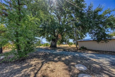 1980 Big Valley Rd - photo 46