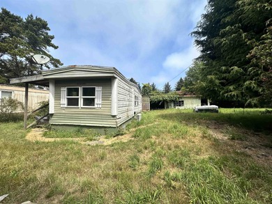 This mobile home sits on a spacious lot near the end of a - photo 4