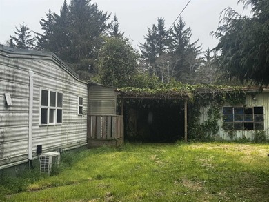 This mobile home sits on a spacious lot near the end of a - photo 5