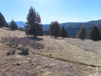 Klamath River Lot For Sale in Hornbrook California