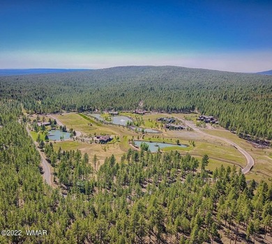 Over 20 acres of beautifully maintained common area weave - photo 3