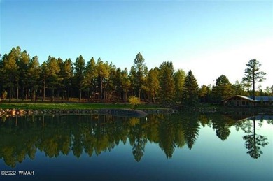 Over 20 acres of beautifully maintained common area weave - photo 4