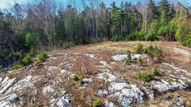 Two adjacent lots with spectacular views along a very quiet road - photo 8