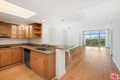 Spectacular City, Marina, Ocean, and Mountain views from the - photo 18