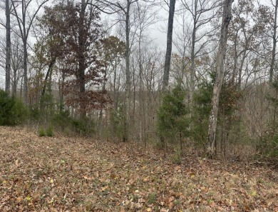 1 Acre Lake Cumberland Building Lot - photo 3