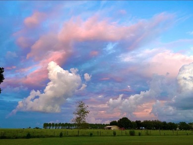 (private lake, pond, coastal) Home For Sale in Dade City Florida