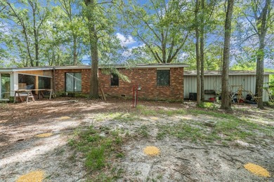 Experience charming country living with this beautiful brick - photo 39