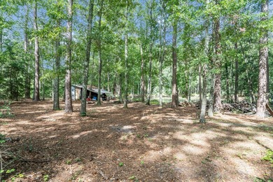 Experience charming country living with this beautiful brick - photo 40