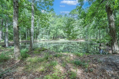 Experience charming country living with this beautiful brick - photo 41