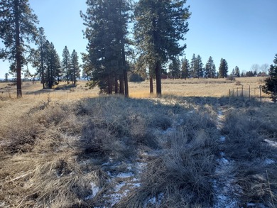 Agency Lake Lot Sale Pending in Chiloquin Oregon