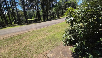 **Ready to Build Your Dream Home on this Beautiful Lakefront - photo 11