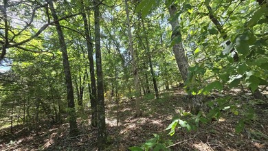 **Ready to Build Your Dream Home on this Beautiful Lakefront - photo 12