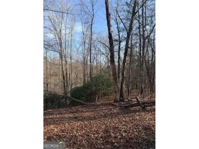 Dream Homesite in Lake Laceola 3.09 Acres Ready to build your - photo 12