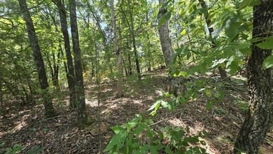 **Ready to Build Your Dream Home on this Beautiful Lakefront - photo 13