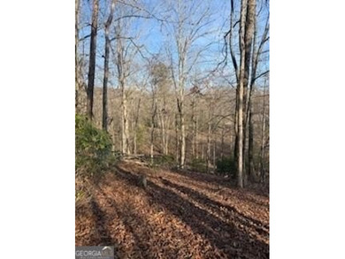 Dream Homesite in Lake Laceola 3.09 Acres Ready to build your - photo 13