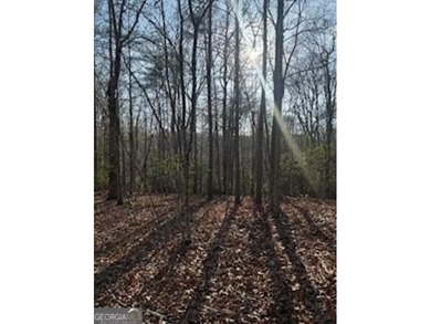 Dream Homesite in Lake Laceola 3.09 Acres Ready to build your - photo 14