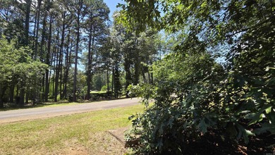 **Ready to Build Your Dream Home on this Beautiful Lakefront - photo 15