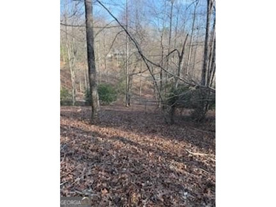 Dream Homesite in Lake Laceola 3.09 Acres Ready to build your - photo 15
