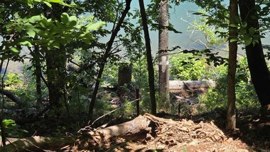 **Ready to Build Your Dream Home on this Beautiful Lakefront - photo 16