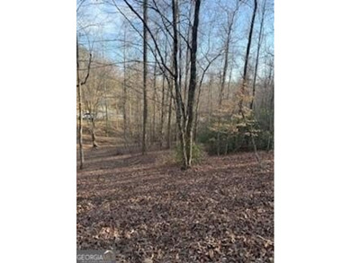 Dream Homesite in Lake Laceola 3.09 Acres Ready to build your - photo 16