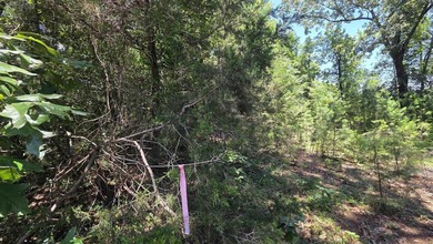 **Ready to Build Your Dream Home on this Beautiful Lakefront - photo 17