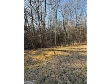 Dream Homesite in Lake Laceola 3.09 Acres Ready to build your - photo 17