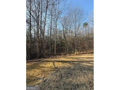 Dream Homesite in Lake Laceola 3.09 Acres Ready to build your - photo 18