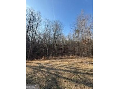 Dream Homesite in Lake Laceola 3.09 Acres Ready to build your - photo 19