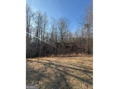 Dream Homesite in Lake Laceola 3.09 Acres Ready to build your - photo 20